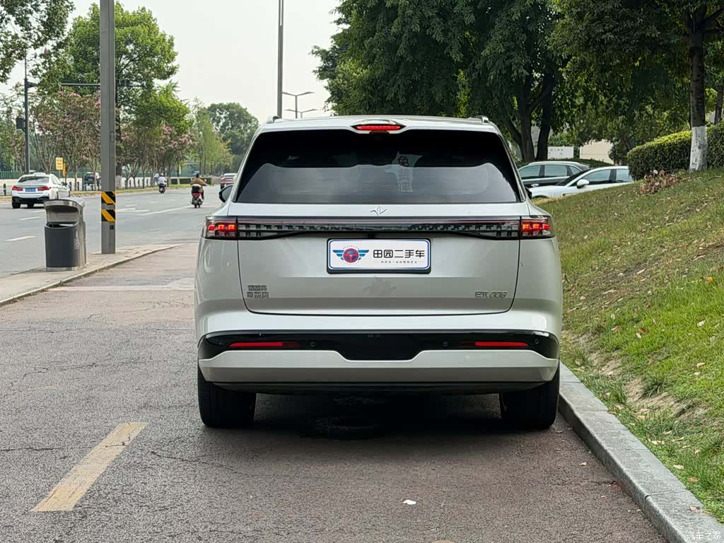 DongFeng eπ008, 2025 все фото