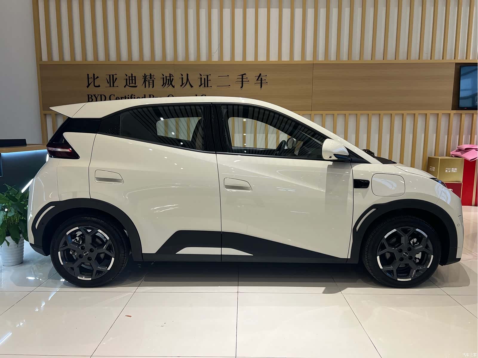 BYD Seagull, 2025 7