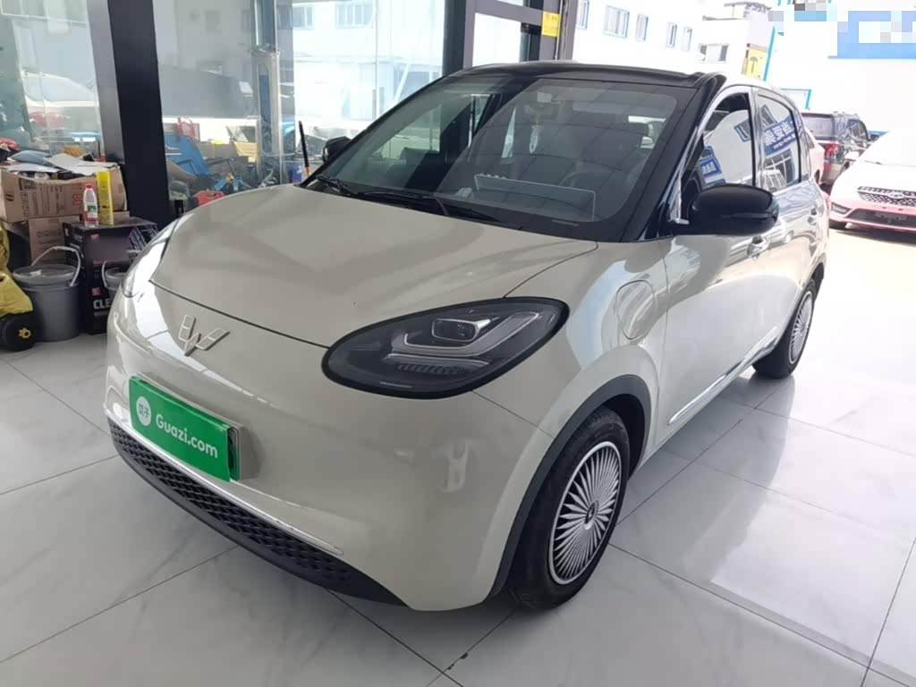 Wuling Binguo