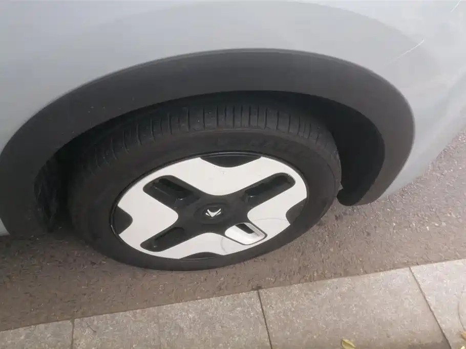 ARCFOX Polar fox koala