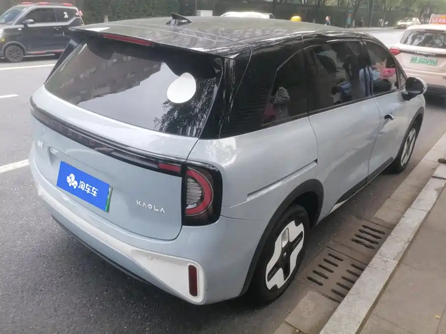 ARCFOX Polar fox koala