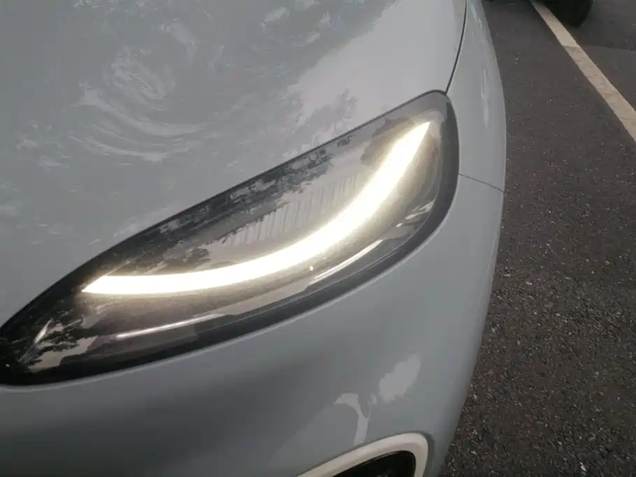 ARCFOX Polar fox koala