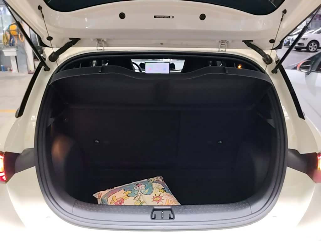 BYD Dolphin, 2023 19