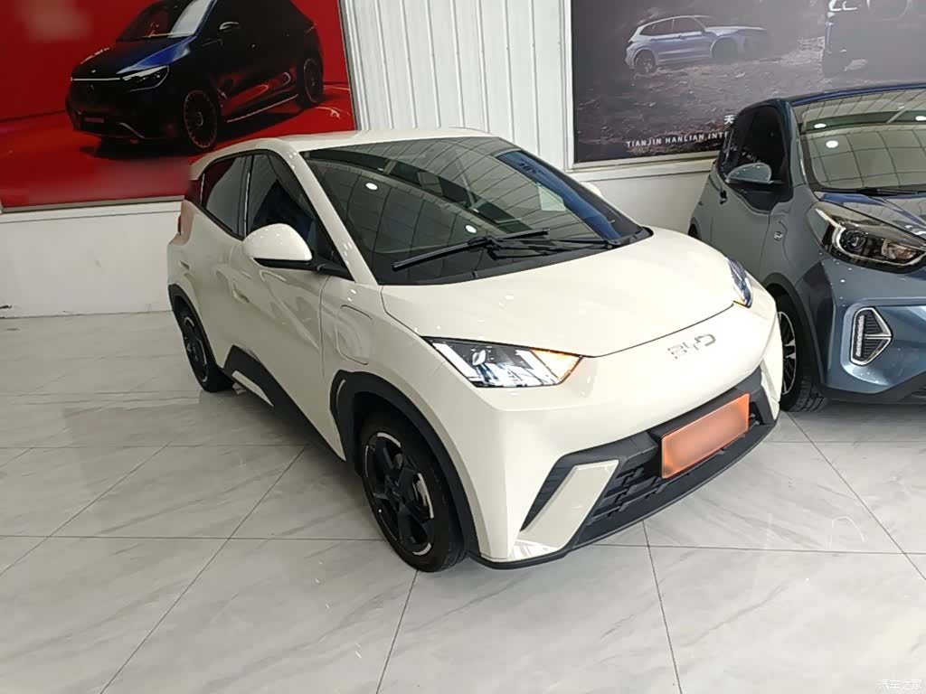 BYD Seagull, 2024 22