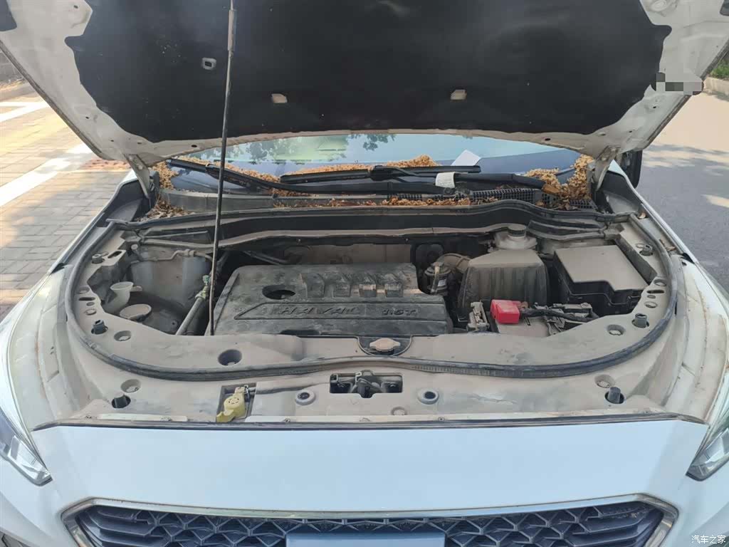 Haval M6, 2018 11