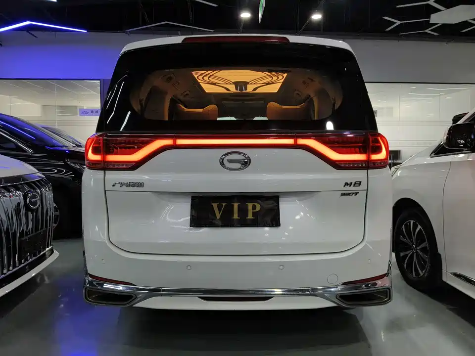 Trumpchi Trumpchi M8