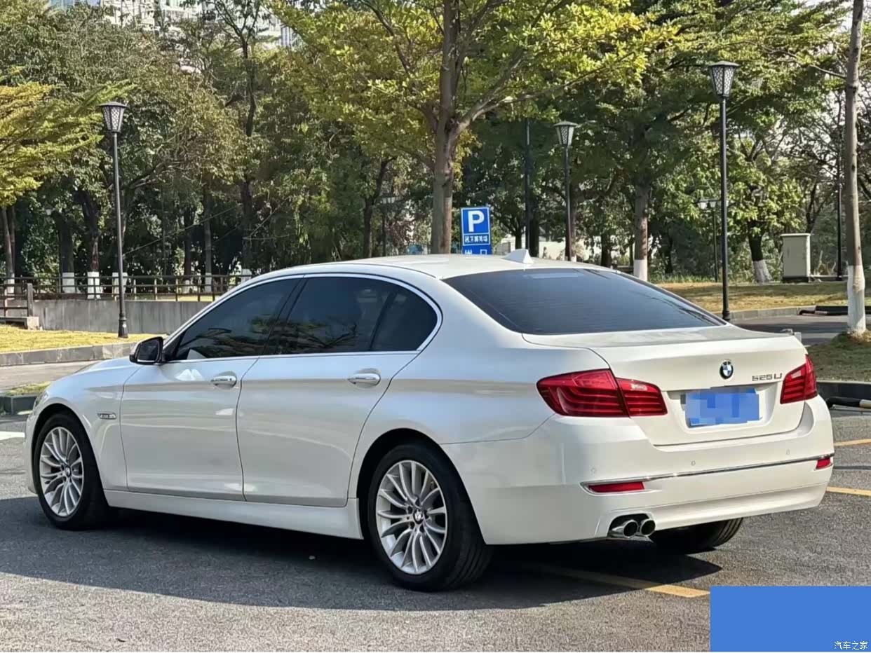 BMW 5 Series, 2014 4