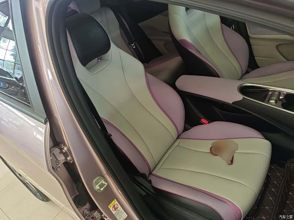 BYD Dolphin, 2022 25