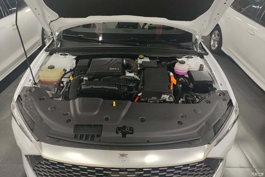 BYD Qin, 2024 10