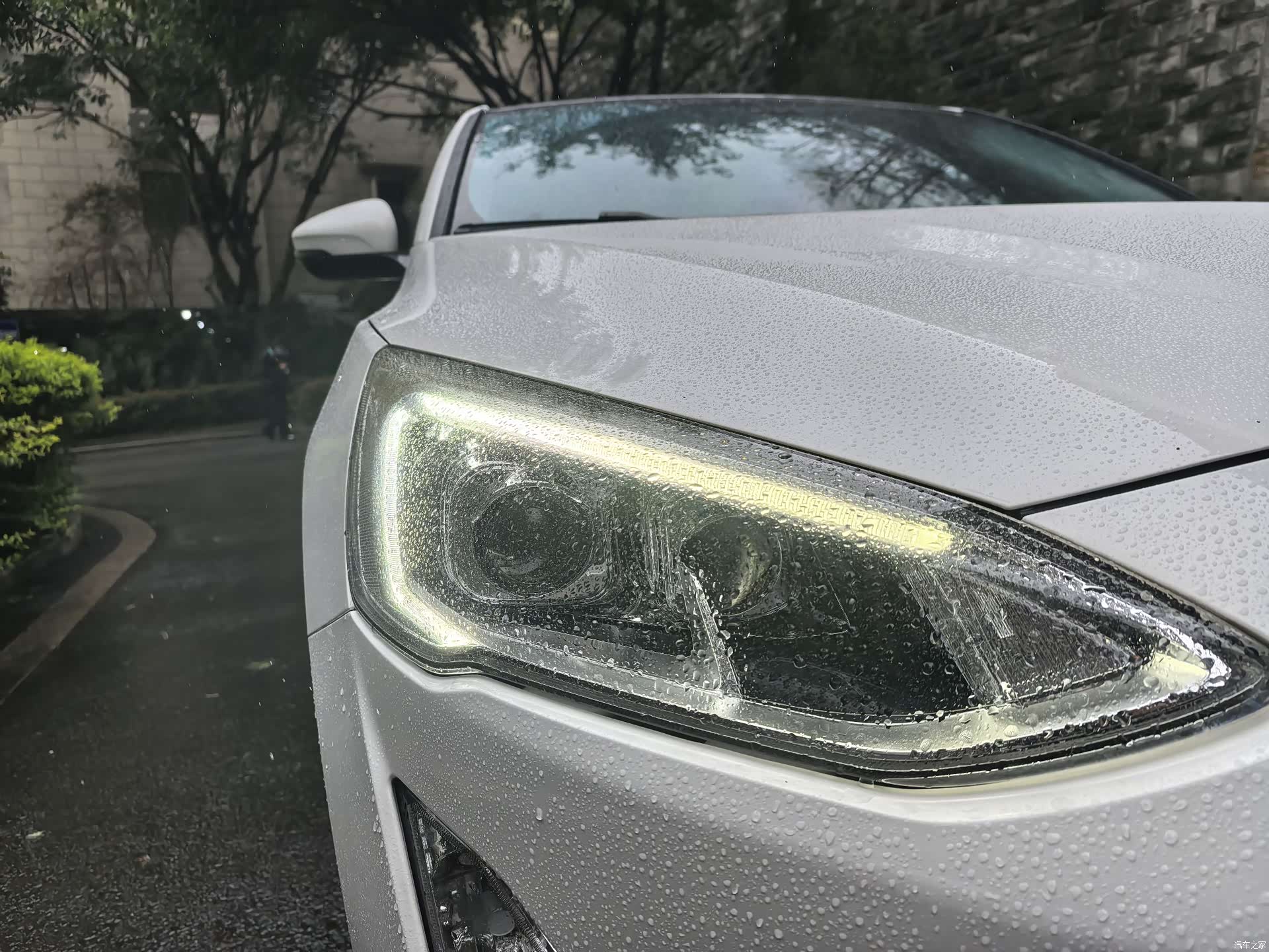 Ford Focus, 2019 13