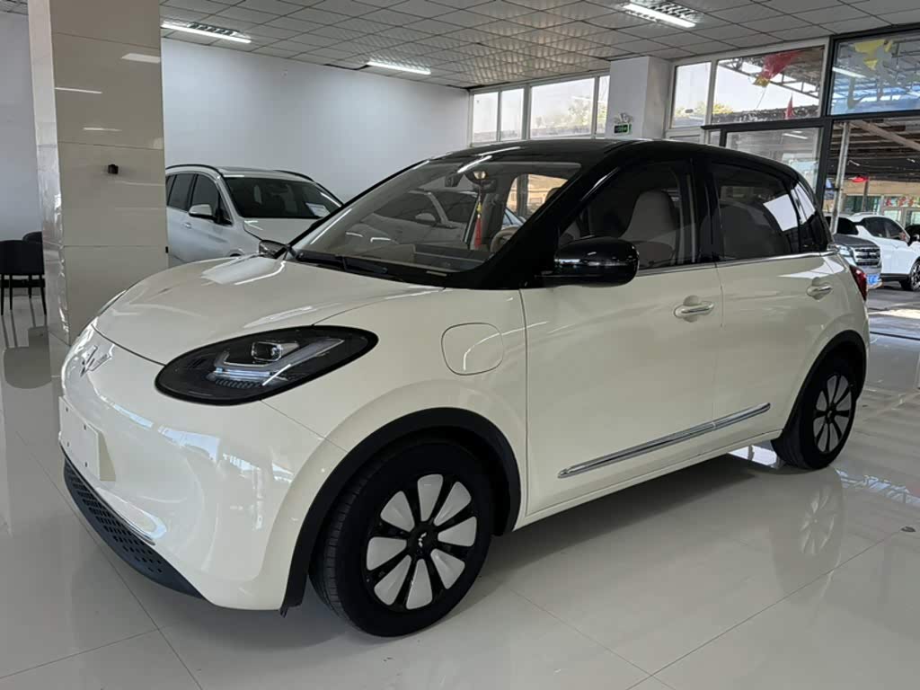 Wuling Binguo
