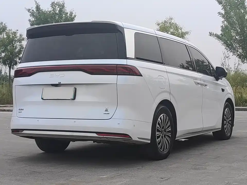 BYD summer BYD summer