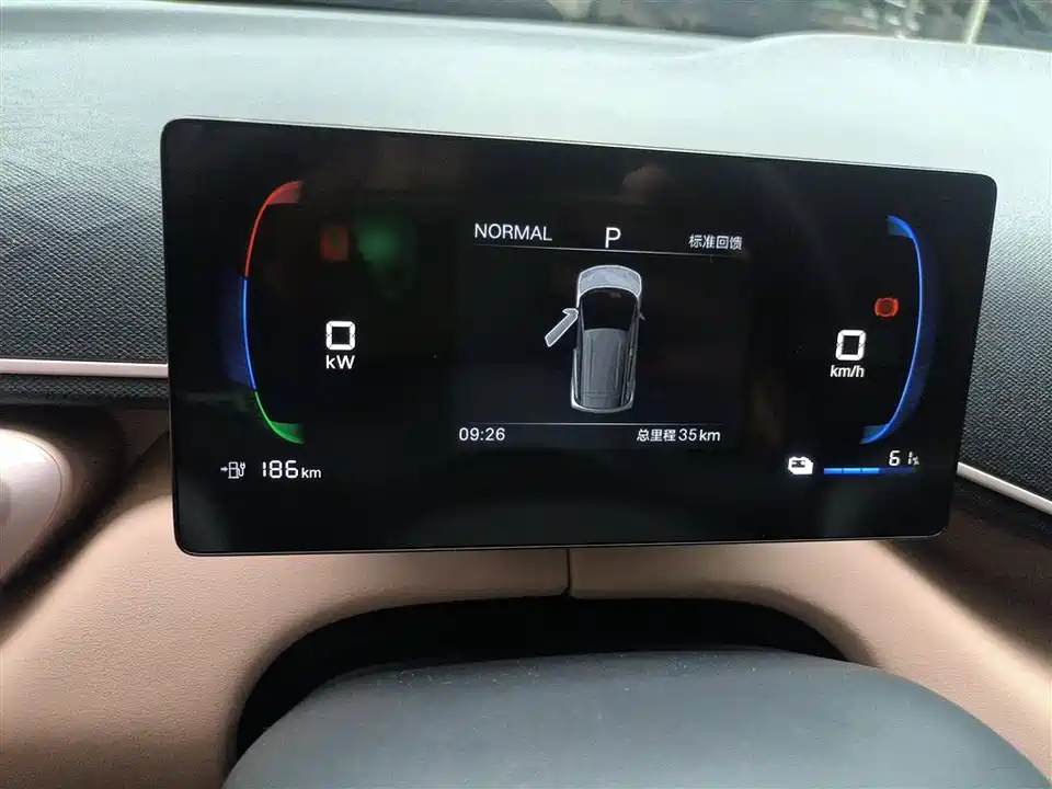 BYD Seagull