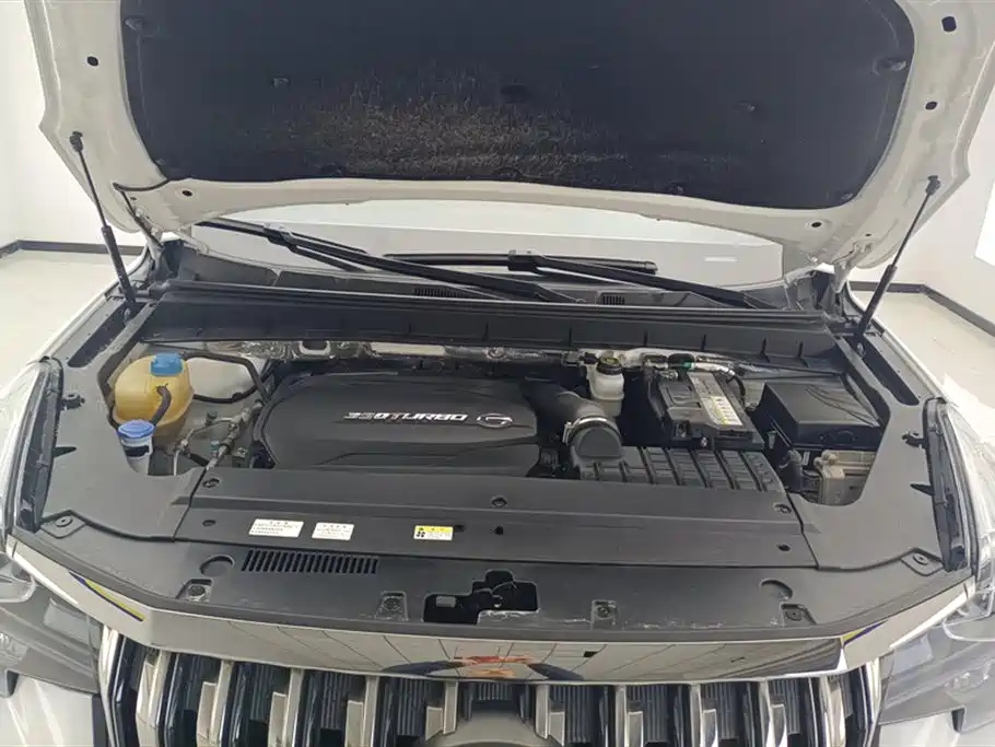 Trumpchi Trumpchi GS8