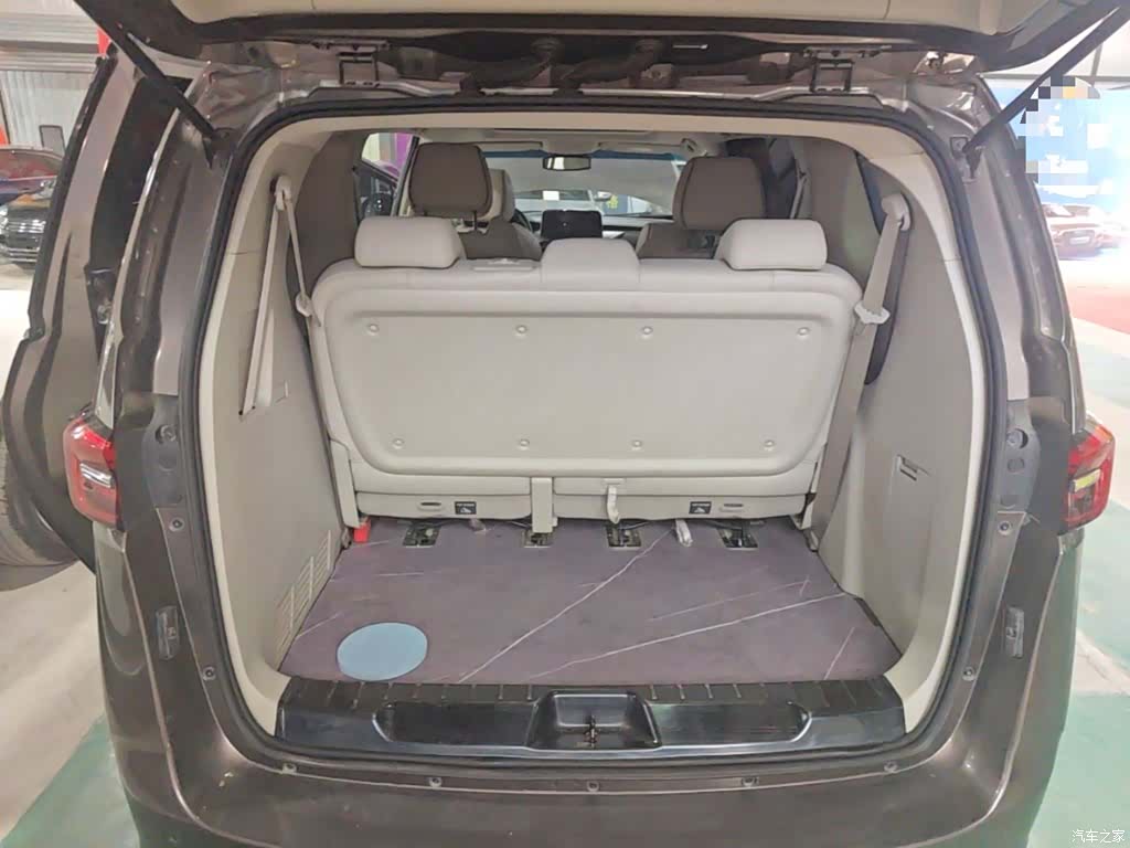 Buick GL8, 2021 19