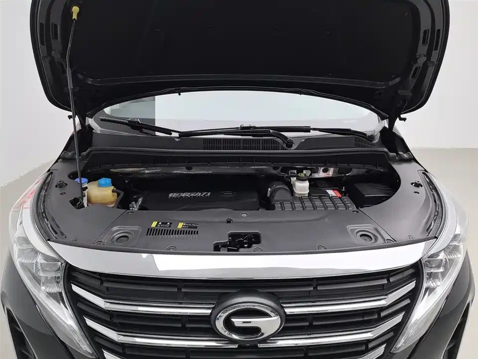 Trumpchi Trumpchi M8
