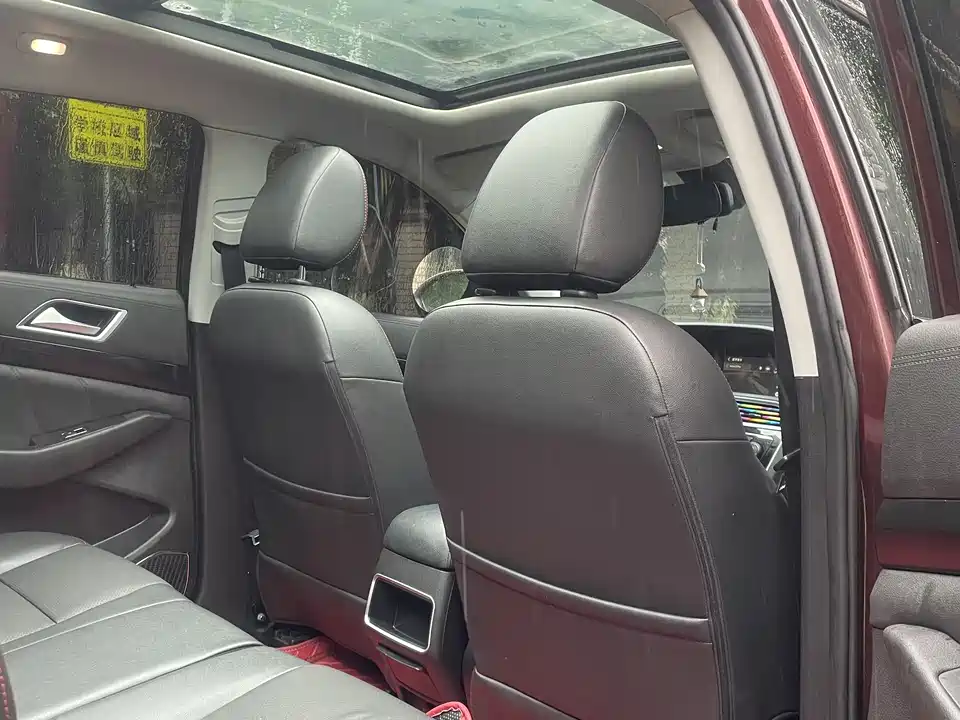 Leopaard Cheetah CS10