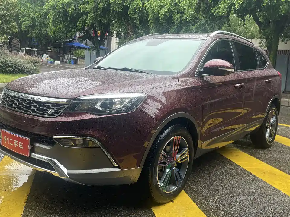 Leopaard Cheetah CS10