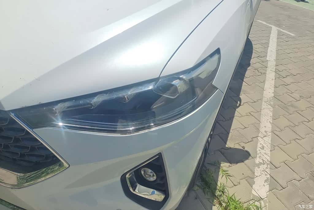 Haval F7, 2020 все фото