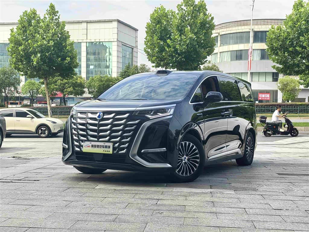 Denza D9