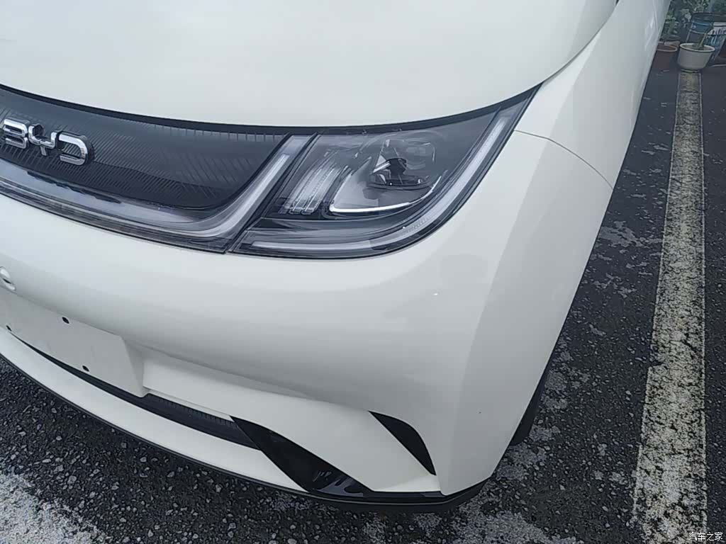 BYD Dolphin, 2026 24
