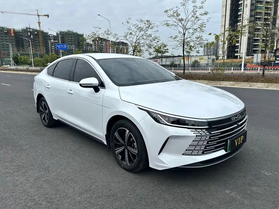 BYD Destroyer 05