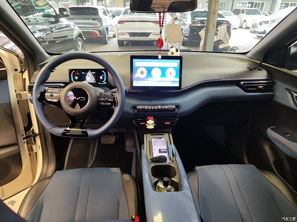 BYD Seagull, 2024 10