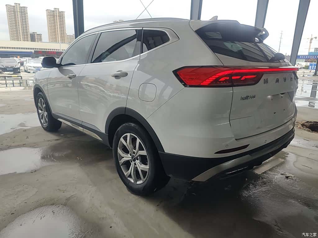 Haval H6, 2022 все фото