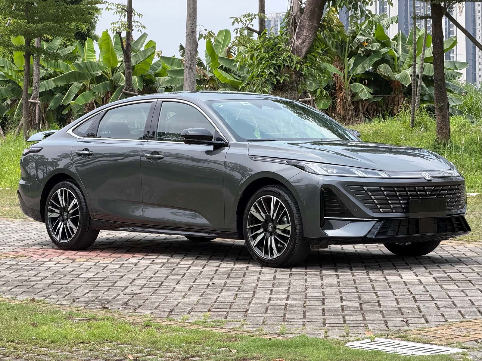 Changan Eado, 2025 3