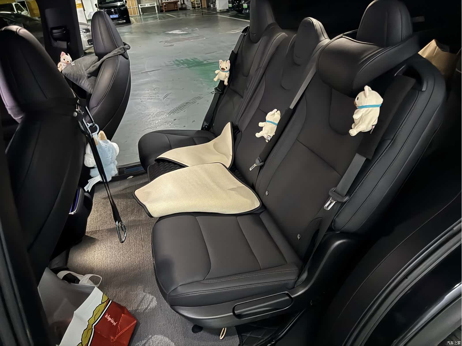 Tesla Model X, 2024 9