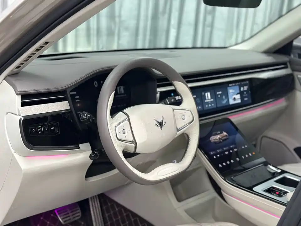 ARCFOX Polar Fox Alpha T6