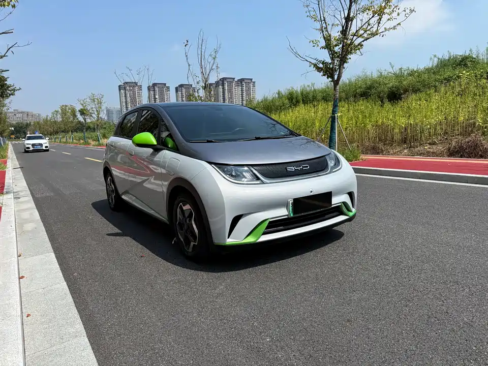 BYD dolphin