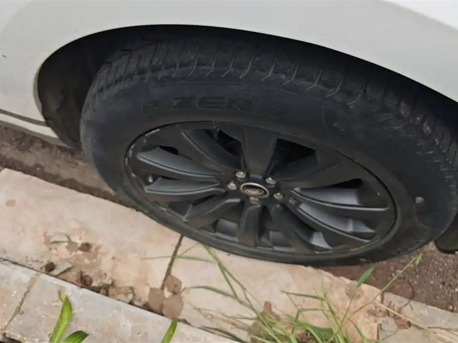 Land Rover Range Rover Star Pulse