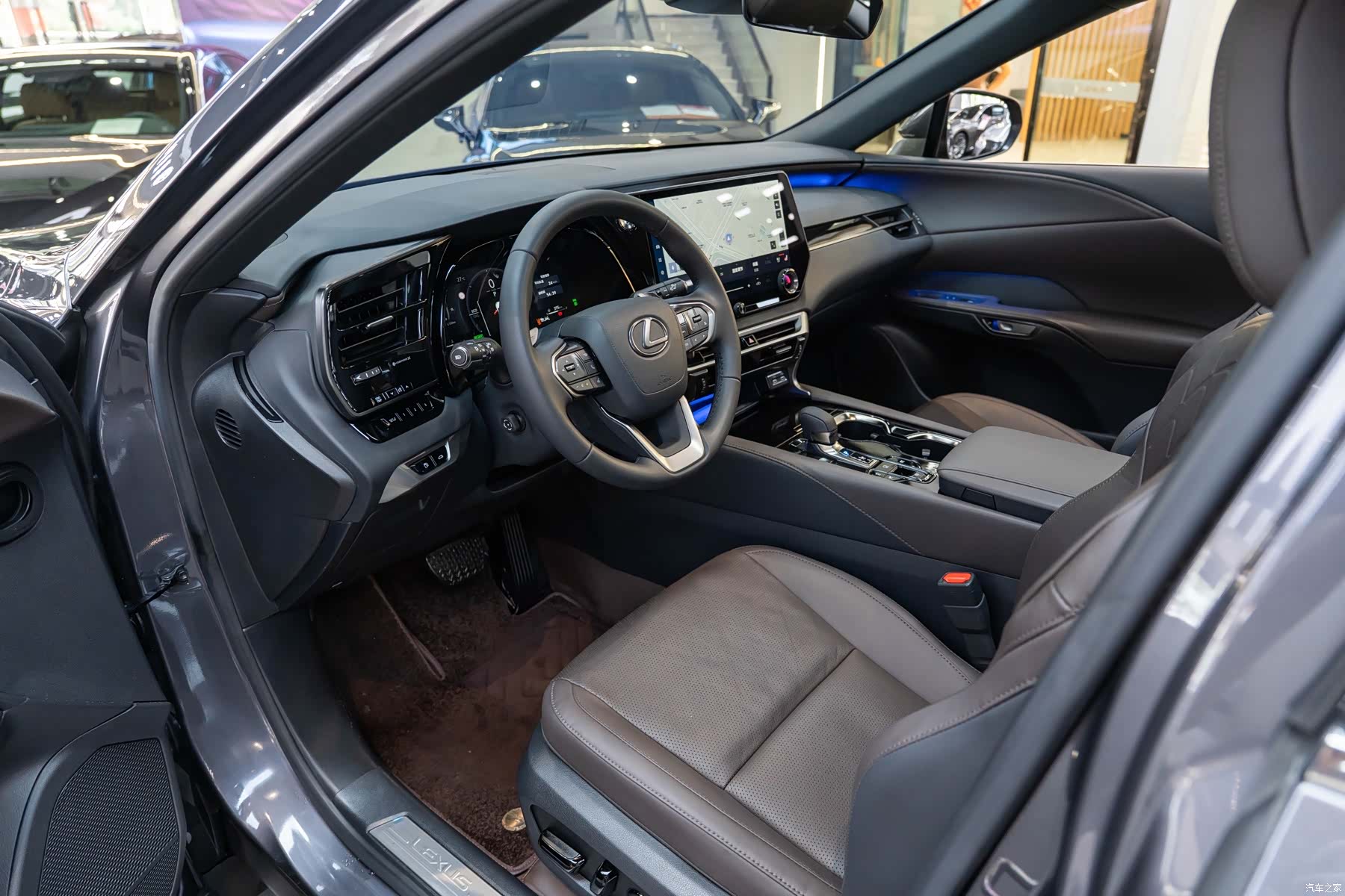 Lexus RX, 2025 9