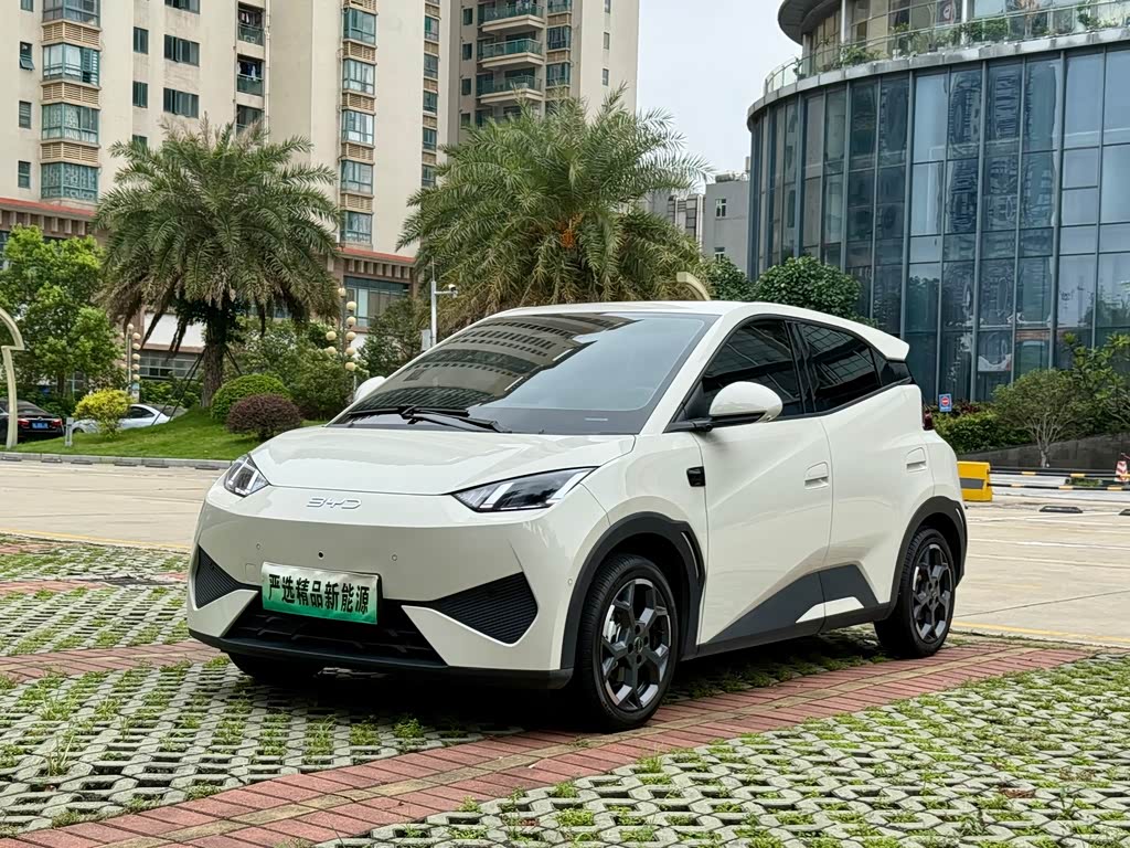 BYD Seagull