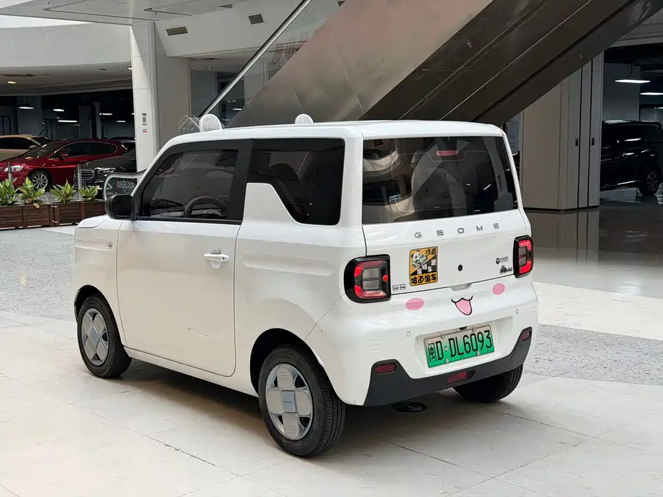 Geely Galaxy panda