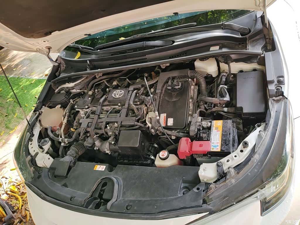 Toyota Levin, 2019 20