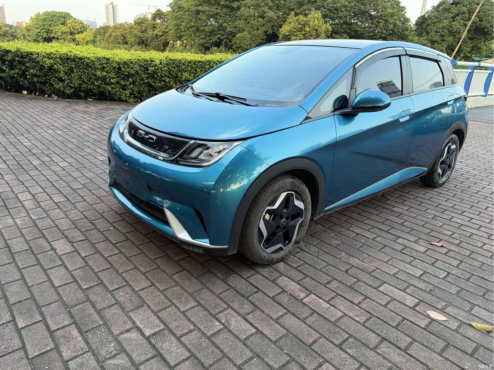 BYD Dolphin, 2022 1
