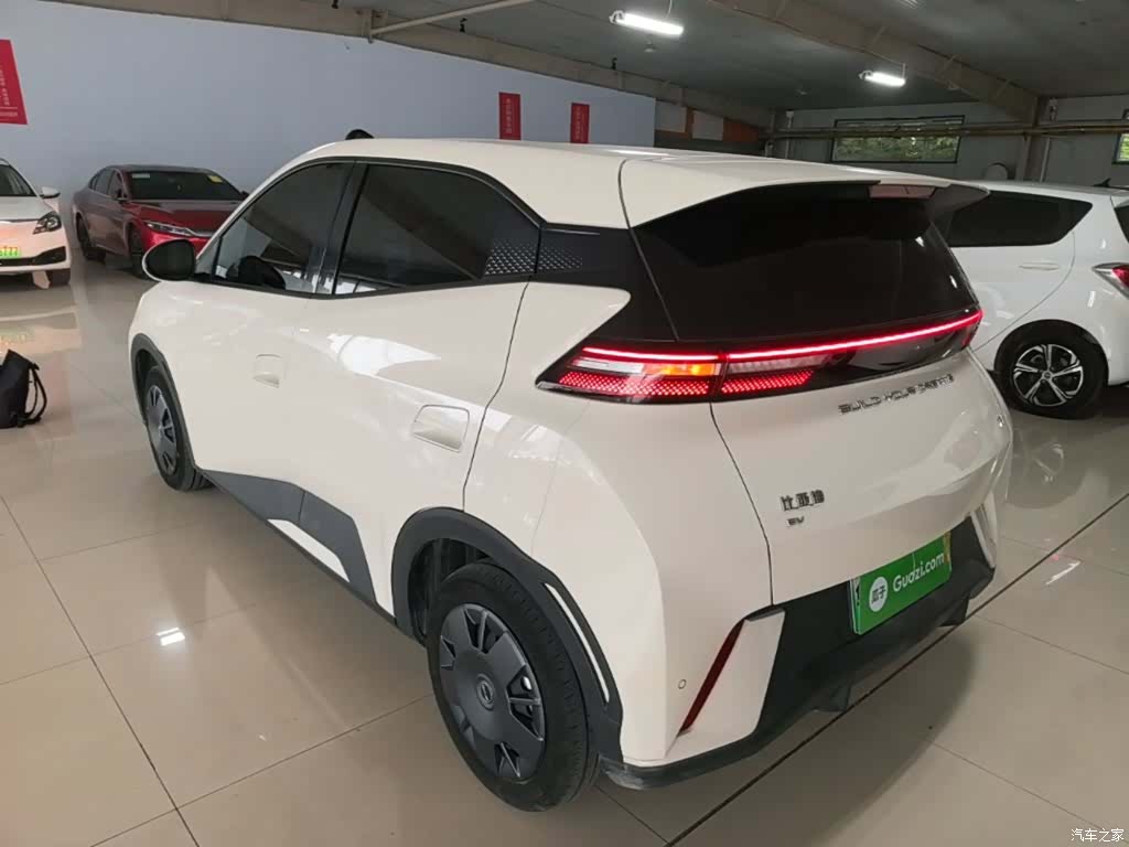 BYD Seagull, 2024 все фото