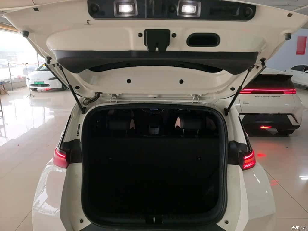 BYD Seagull, 2024 19