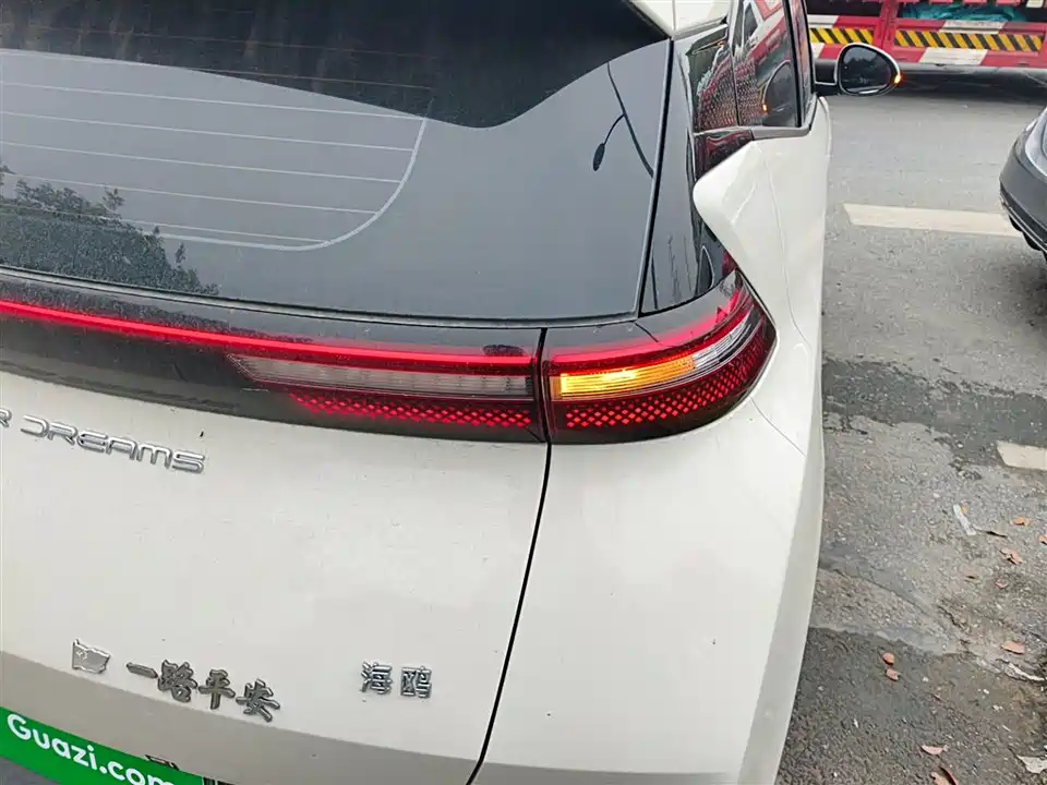 BYD Seagull