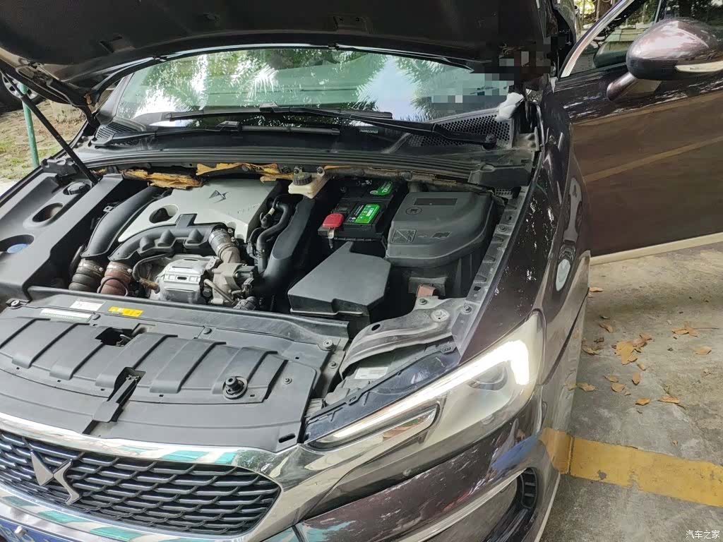 DS 5LS, 2018 22