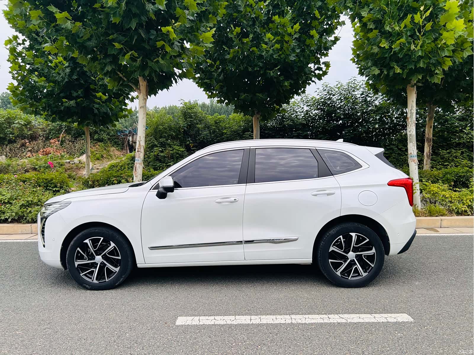 Haval First Love, 2021 3