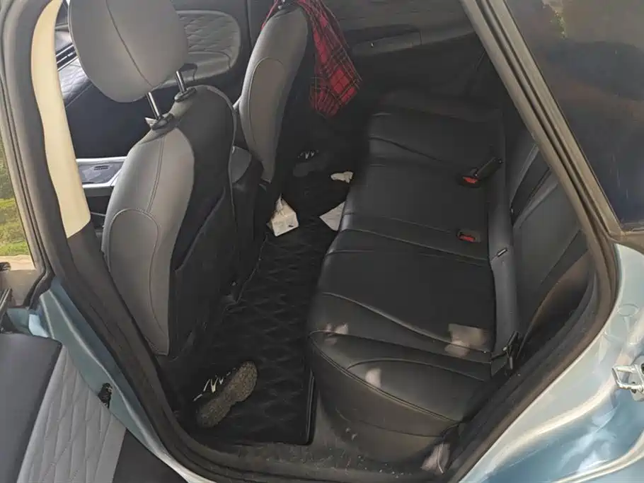 Dongfeng Nammi Nano 01