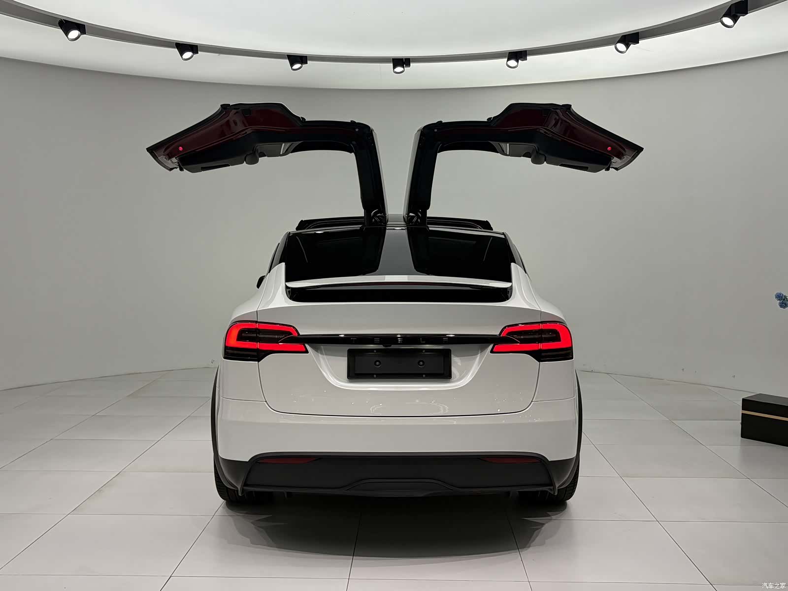 Tesla Model X, 2023 все фото