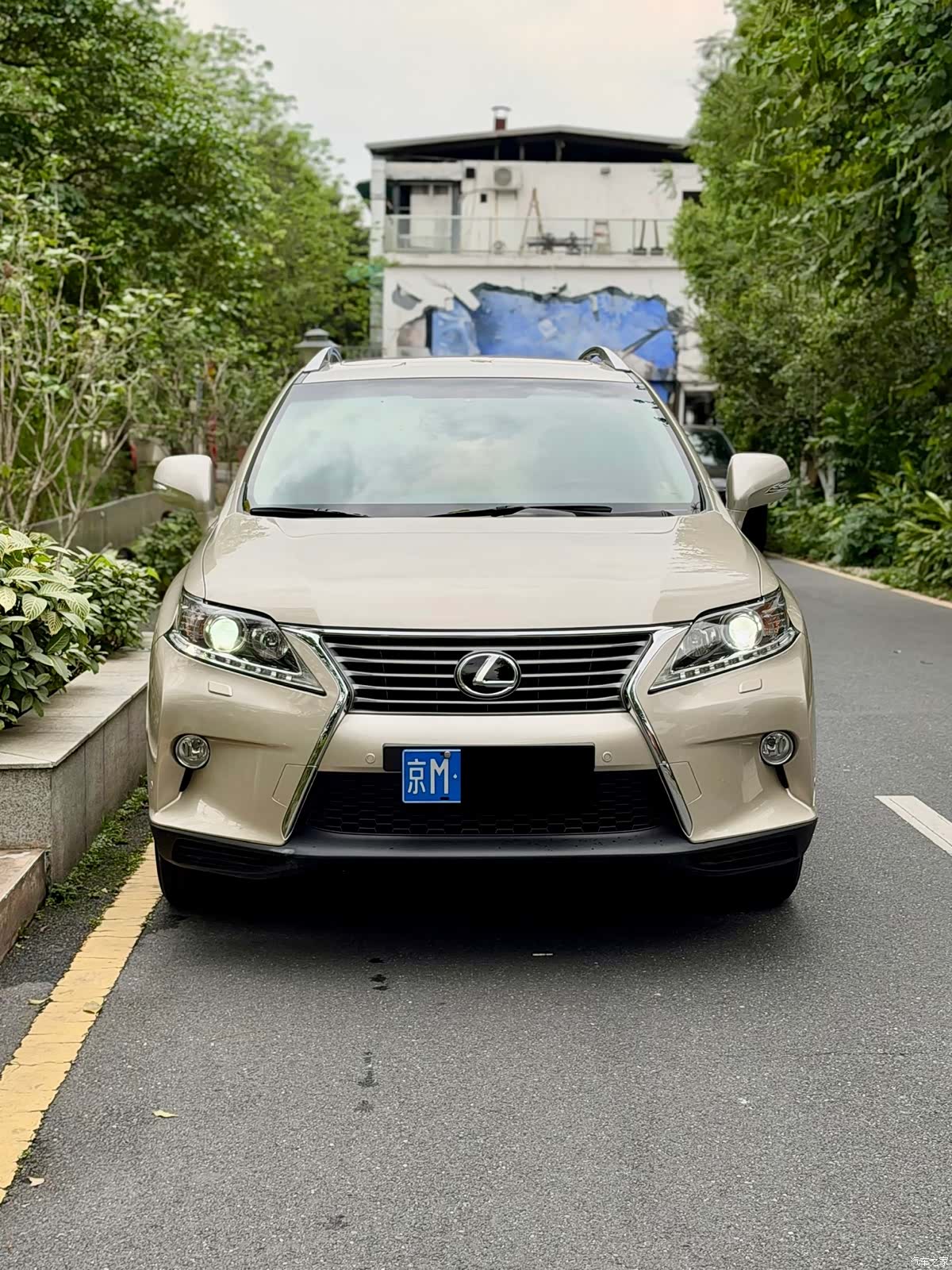 Lexus RX, 2013 2