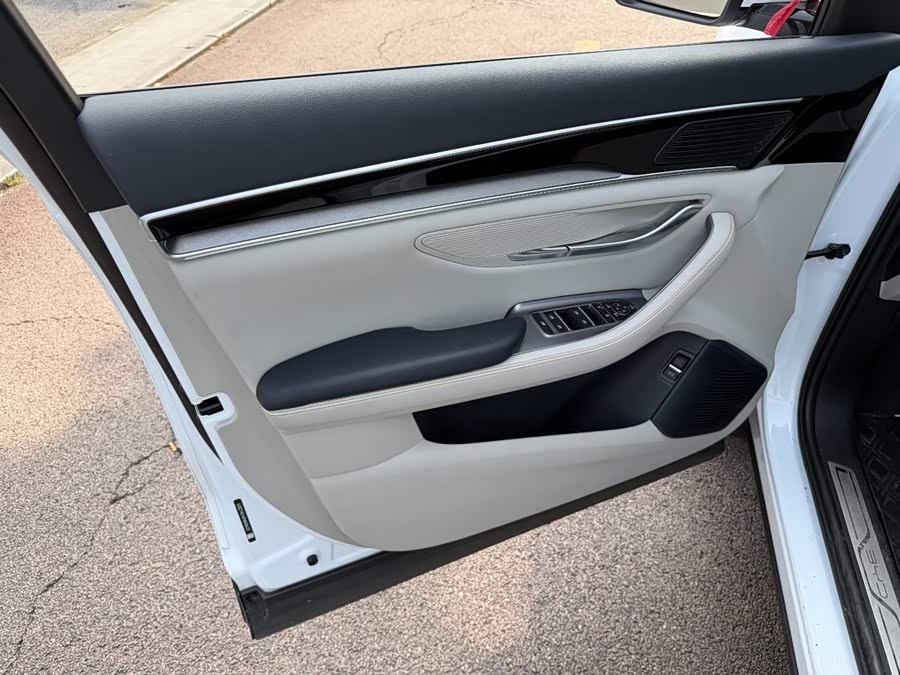 BYD Song PLUS New Energy 2024, фото 6