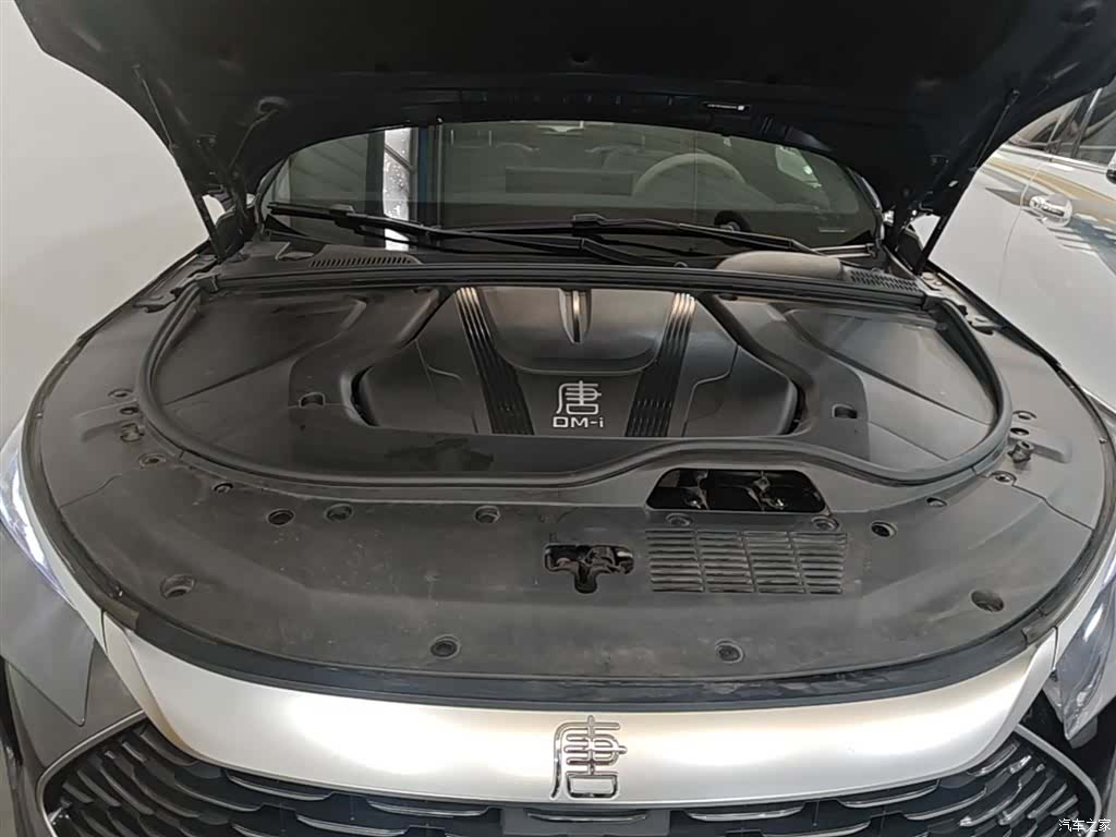 BYD Tang, 2024 20