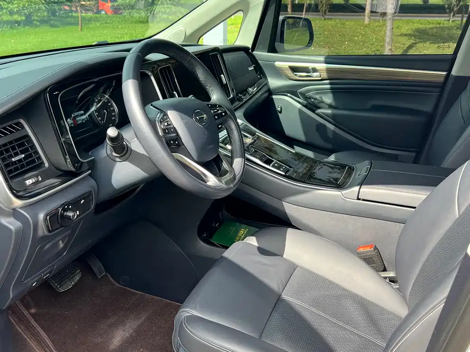 Trumpchi Trumpchi M8