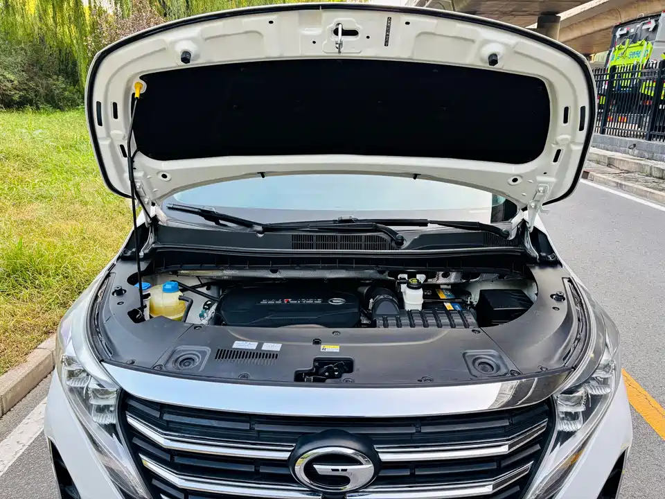 Trumpchi Trumpchi M8